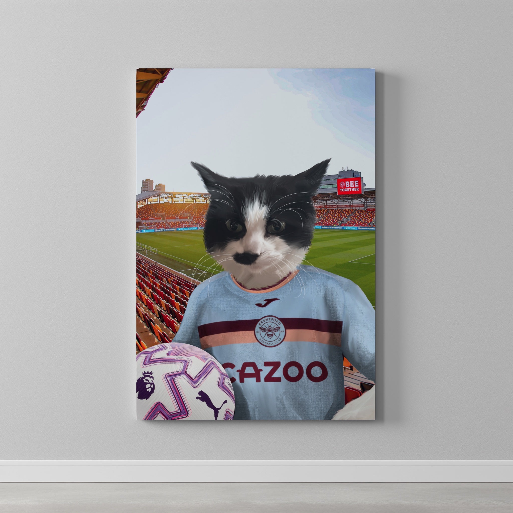 Your Pet in a Brentford FC 3rd Kids Shirt 2025/26