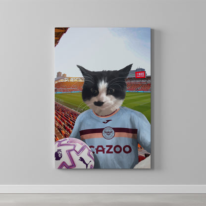 Your Pet in a Brentford FC 3rd Kids Shirt 2025/26