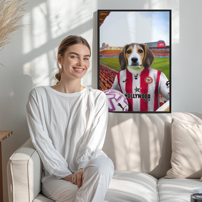 Your Pet in a Brentford FC 25/26 Home Adult Shirt