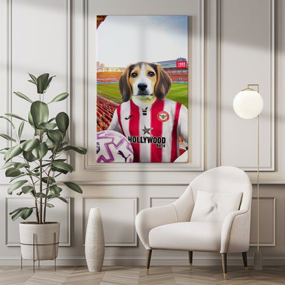 Your Pet in a Brentford FC 25/26 Home Adult Shirt