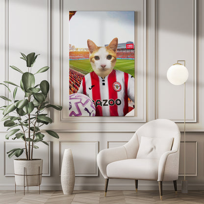 Your Pet in a Brentford FC 25/26 Home Kids Shirt