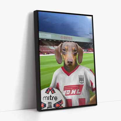 Your Pet in a Brentford Retro Shirt
