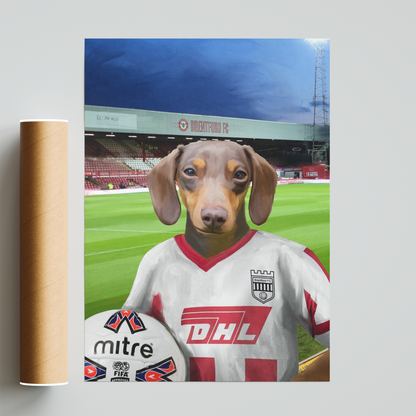Your Pet in a Brentford Retro Shirt