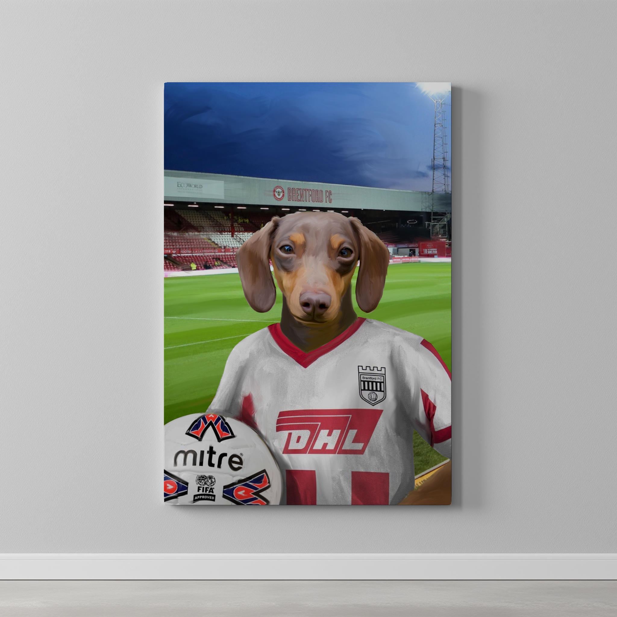 Your Pet in a Brentford Retro Shirt