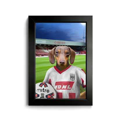 Your Pet in a Brentford Retro Shirt