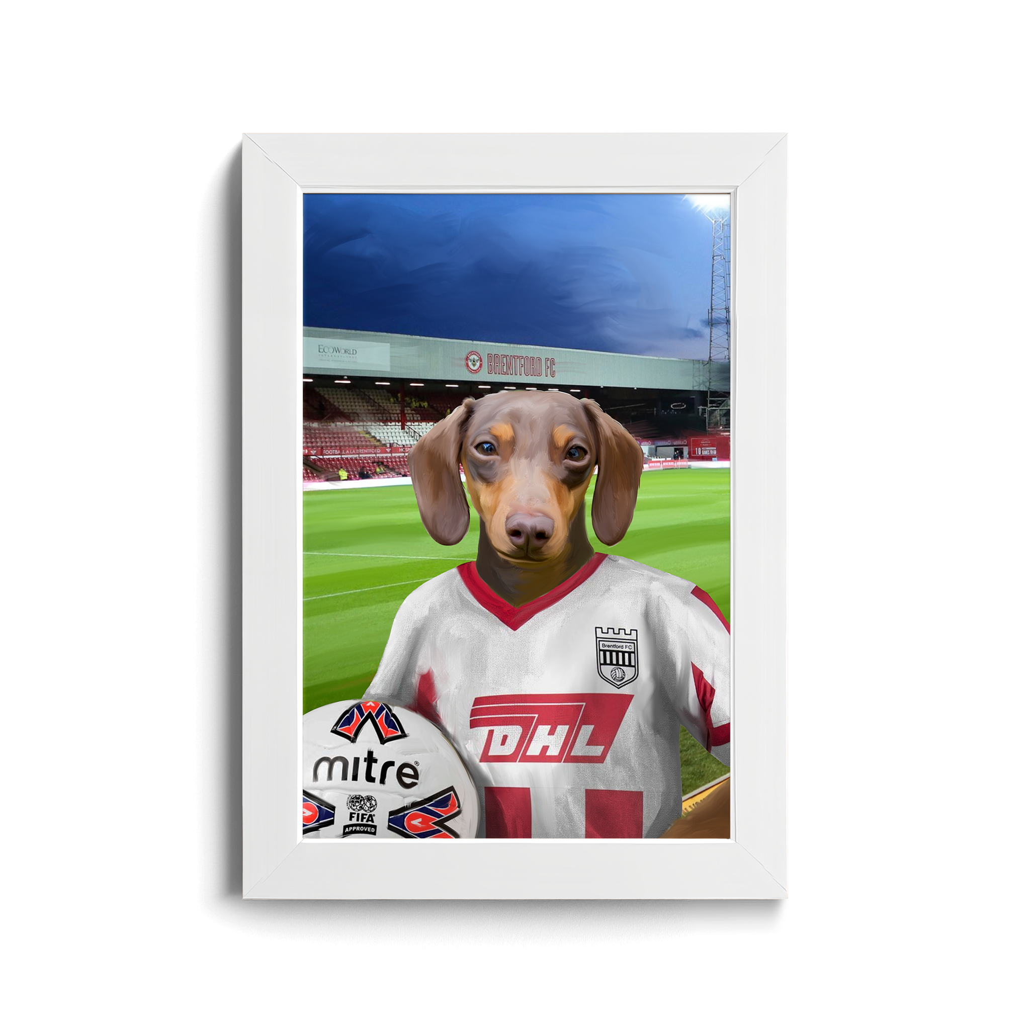 Your Pet in a Brentford Retro Shirt