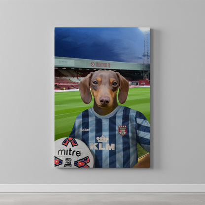 Your Pet in a Brentford Retro Shirt