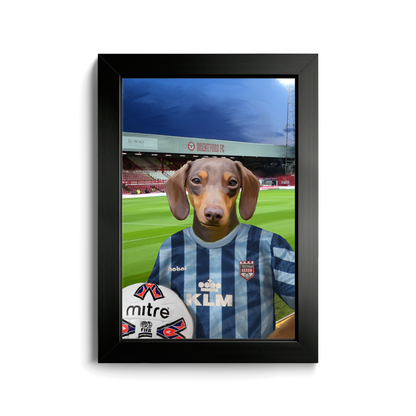 Your Pet in a Brentford Retro Shirt