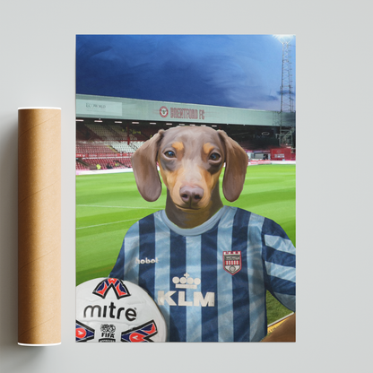 Your Pet in a Brentford Retro Shirt