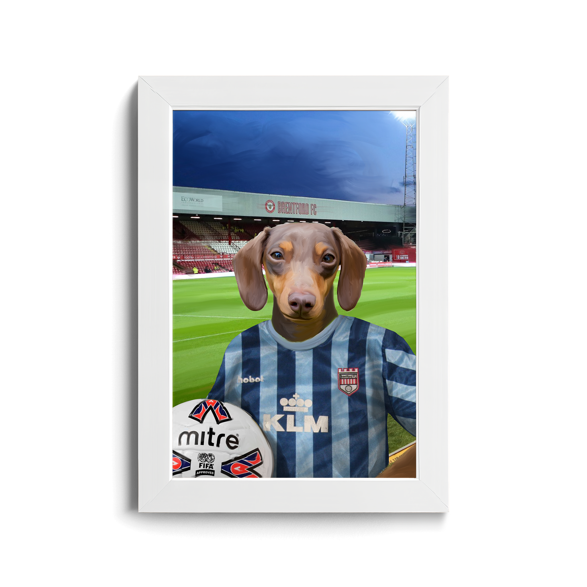 Your Pet in a Brentford Retro Shirt