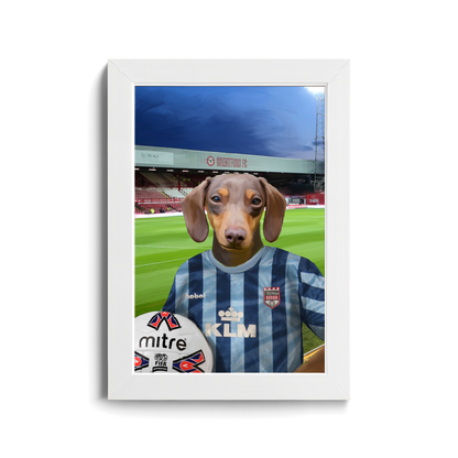 Your Pet in a Brentford Retro Shirt