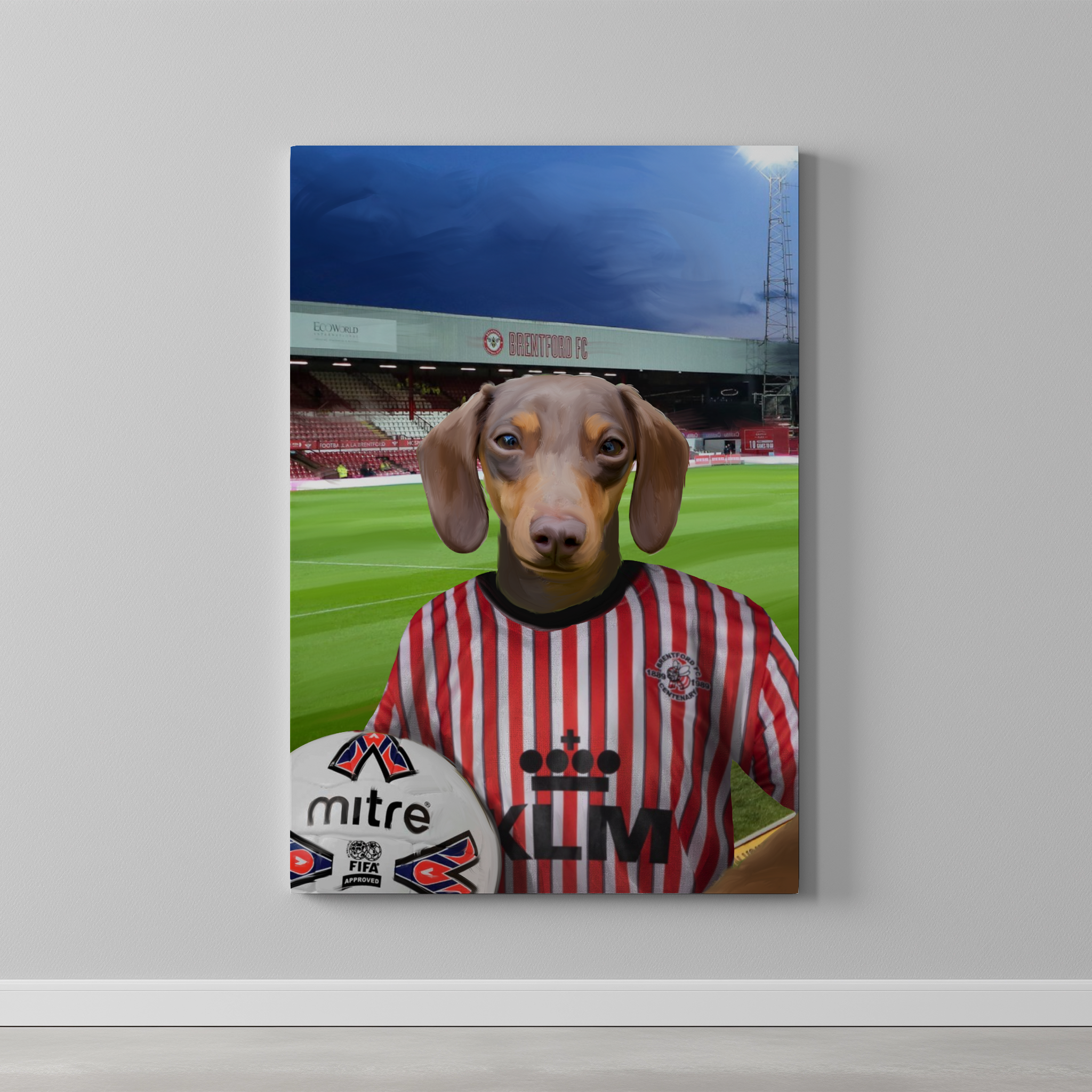 Your Pet in a Brentford Retro Shirt
