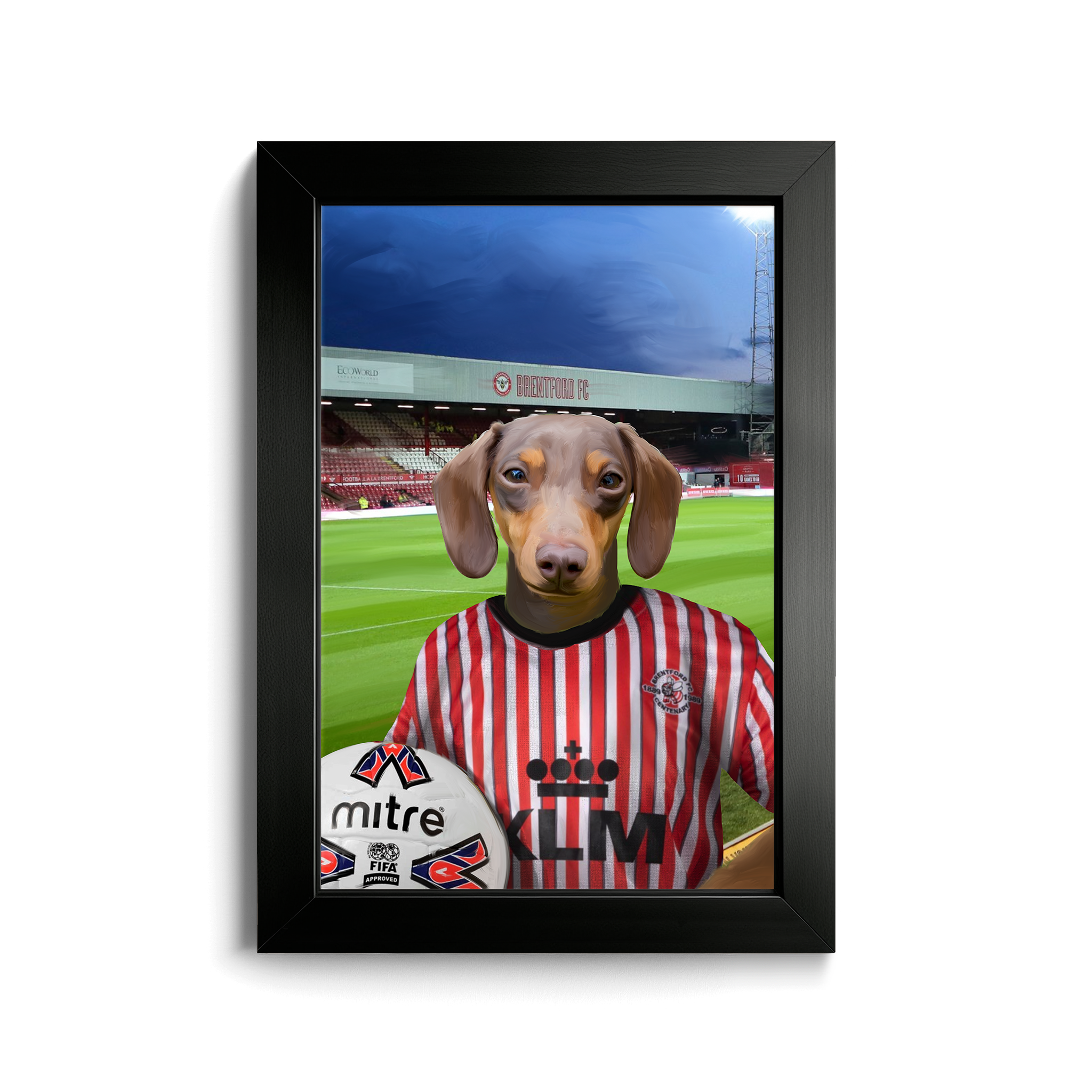 Your Pet in a Brentford Retro Shirt