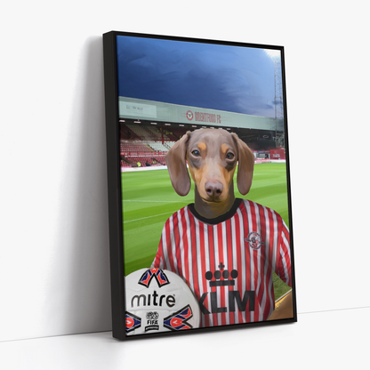 Your Pet in a Brentford Retro Shirt