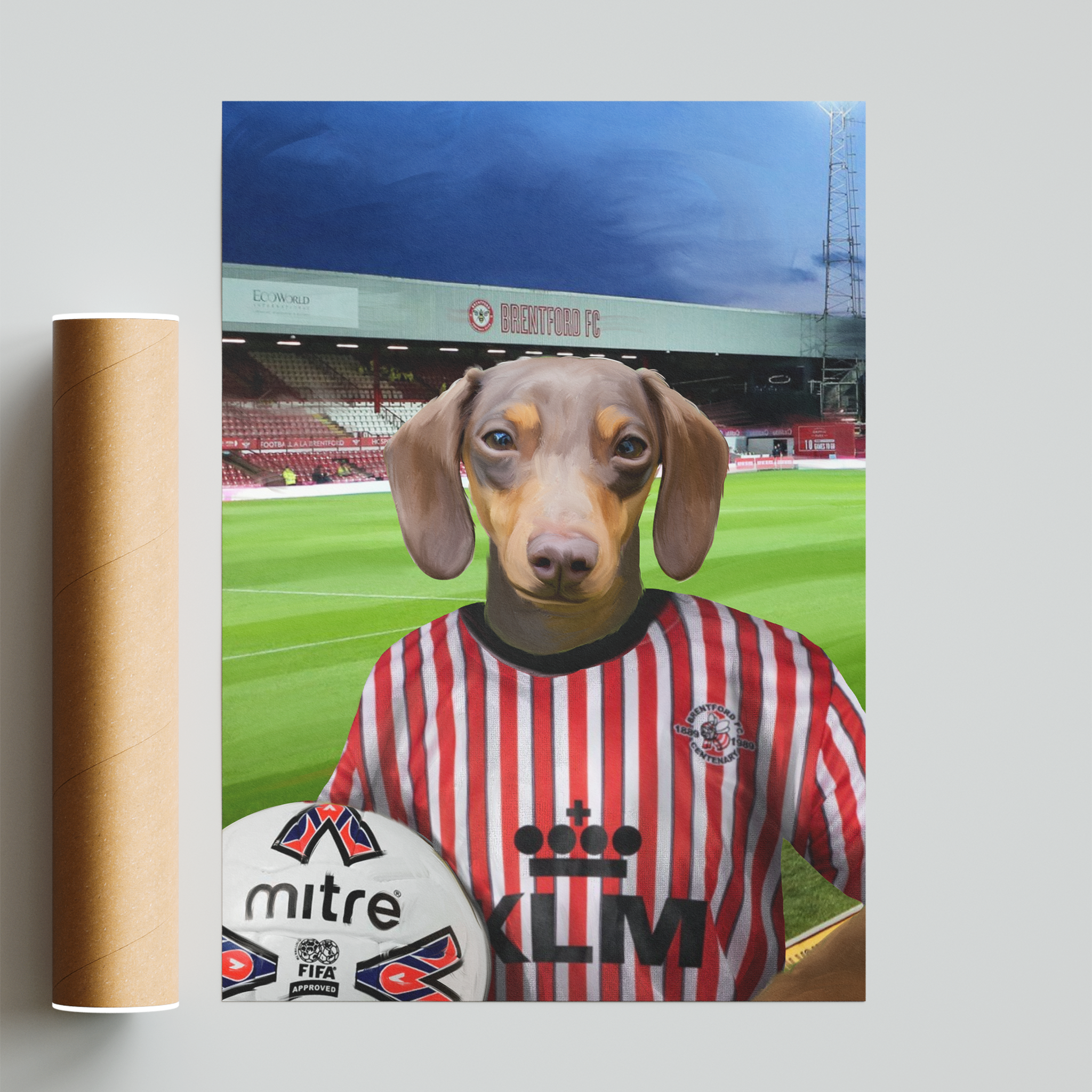 Your Pet in a Brentford Retro Shirt