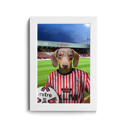 Your Pet in a Brentford Retro Shirt