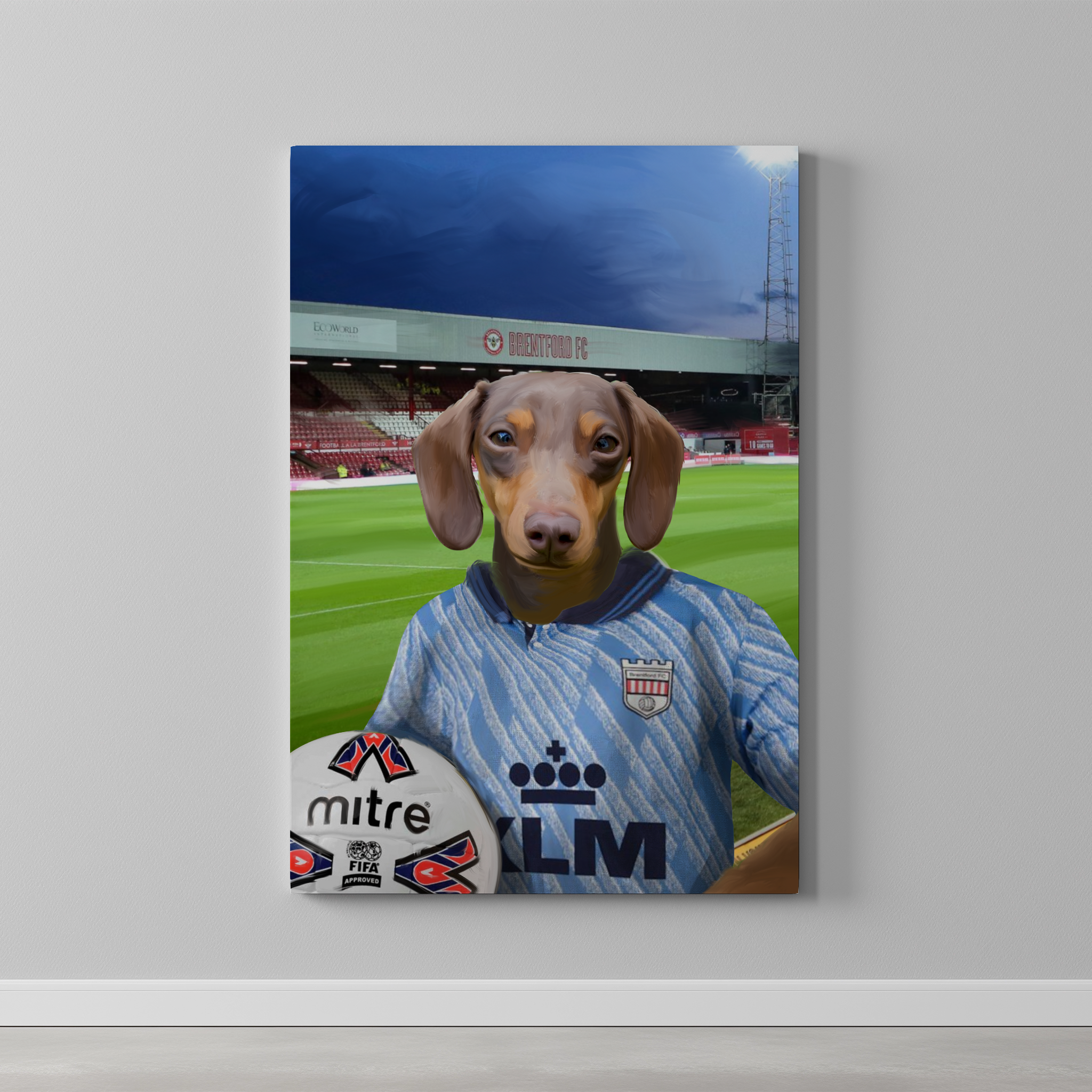 Your Pet in a Brentford Retro Shirt
