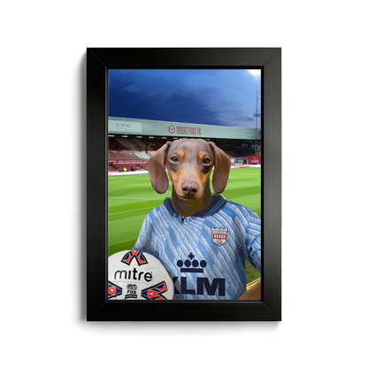Your Pet in a Brentford Retro Shirt