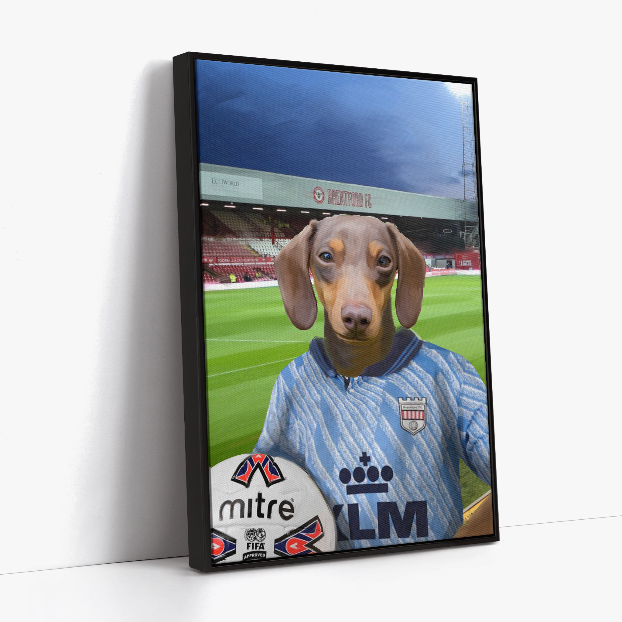 Your Pet in a Brentford Retro Shirt