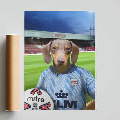 Your Pet in a Brentford Retro Shirt
