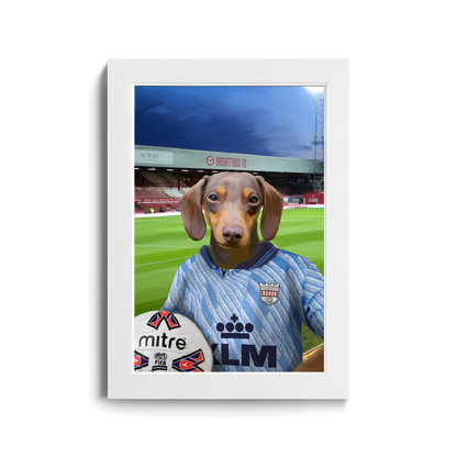Your Pet in a Brentford Retro Shirt