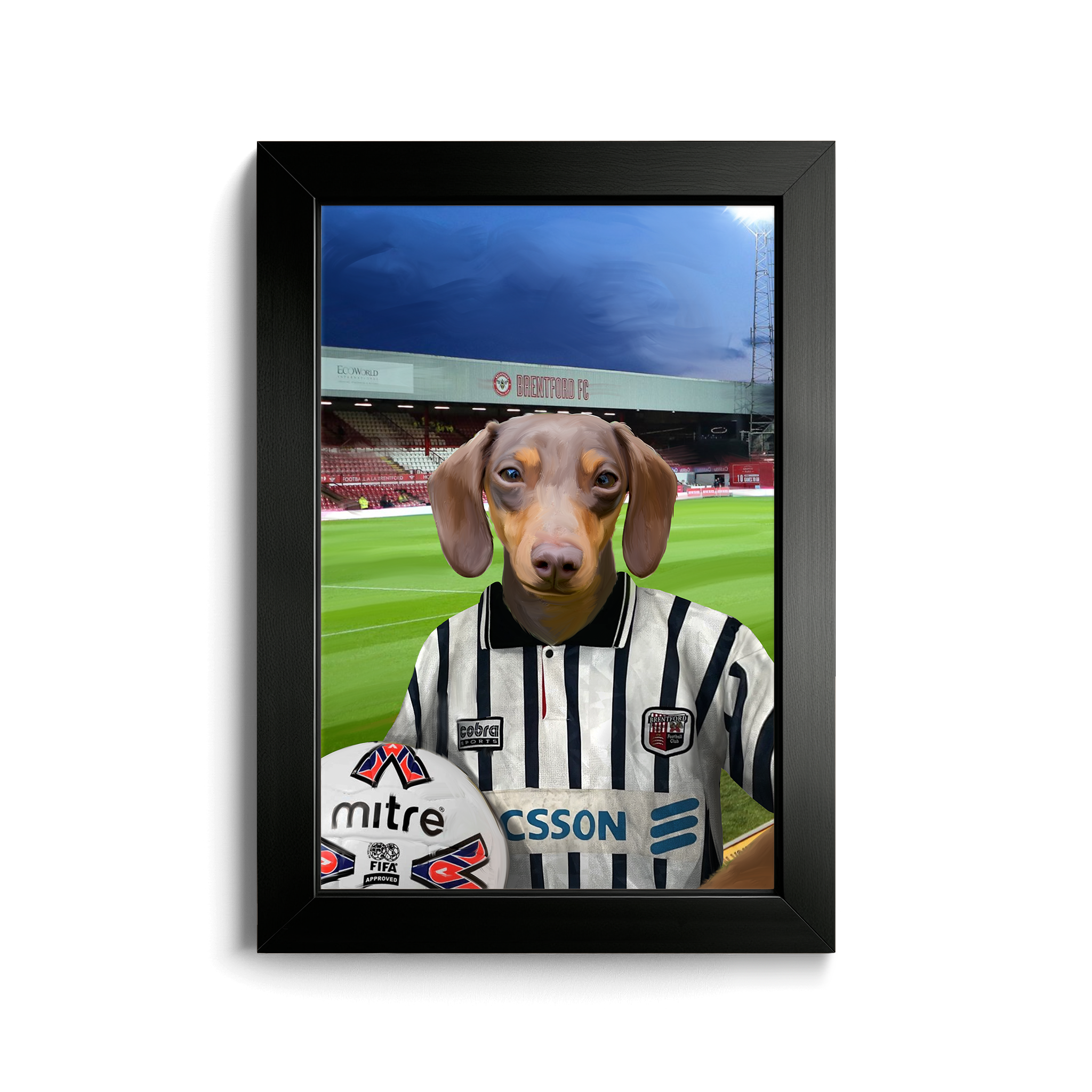 Your Pet in a Brentford Retro Shirt