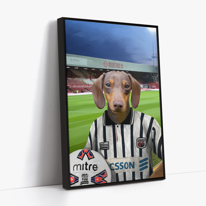 Your Pet in a Brentford Retro Shirt