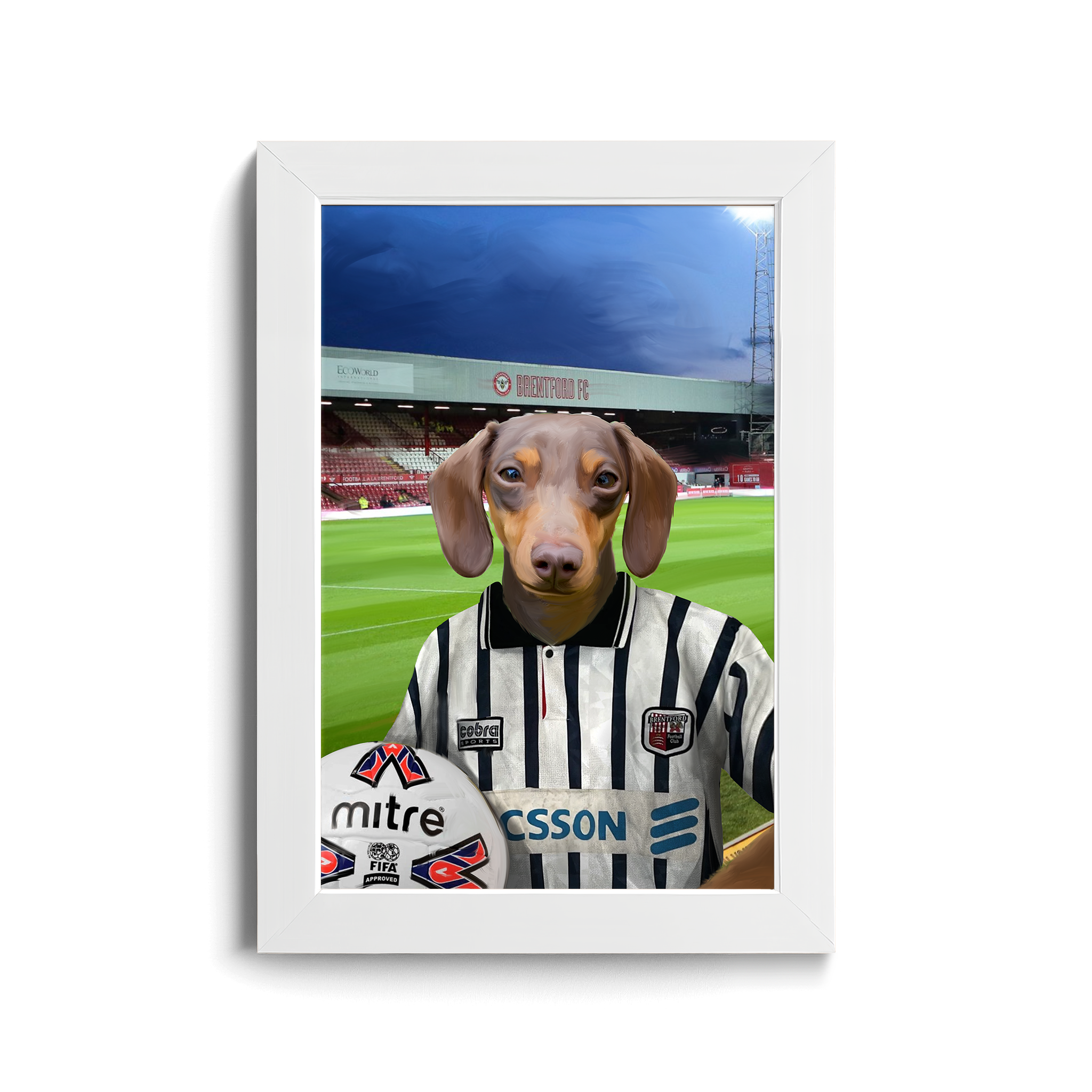 Your Pet in a Brentford Retro Shirt