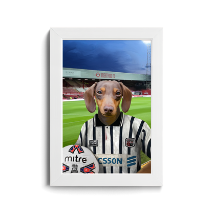 Your Pet in a Brentford Retro Shirt