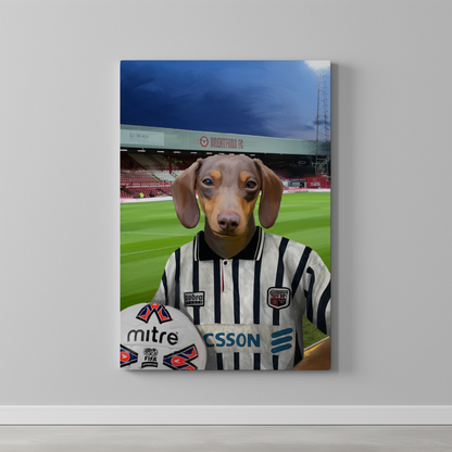 Your Pet in a Brentford Retro Shirt
