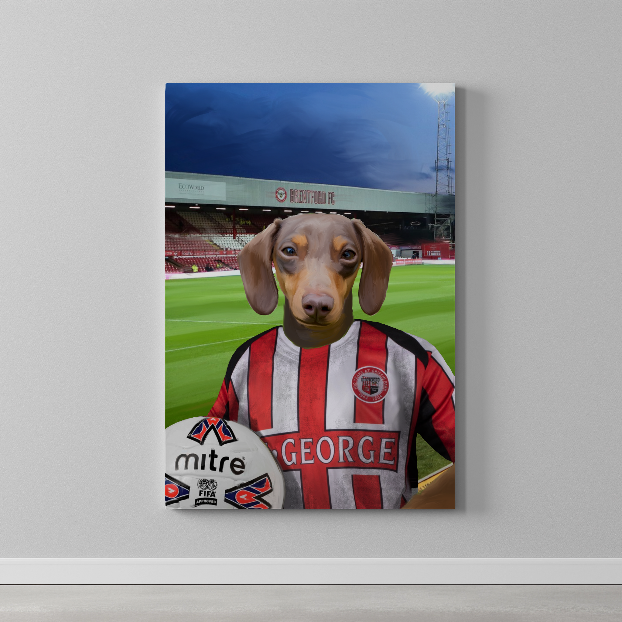 Your Pet in a Brentford Retro Shirt