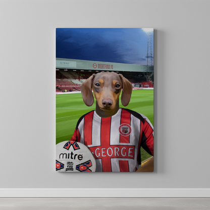 Your Pet in a Brentford Retro Shirt