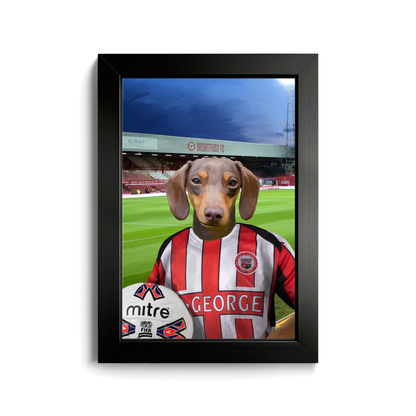 Your Pet in a Brentford Retro Shirt