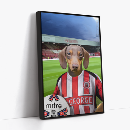 Your Pet in a Brentford Retro Shirt