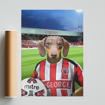 Your Pet in a Brentford Retro Shirt