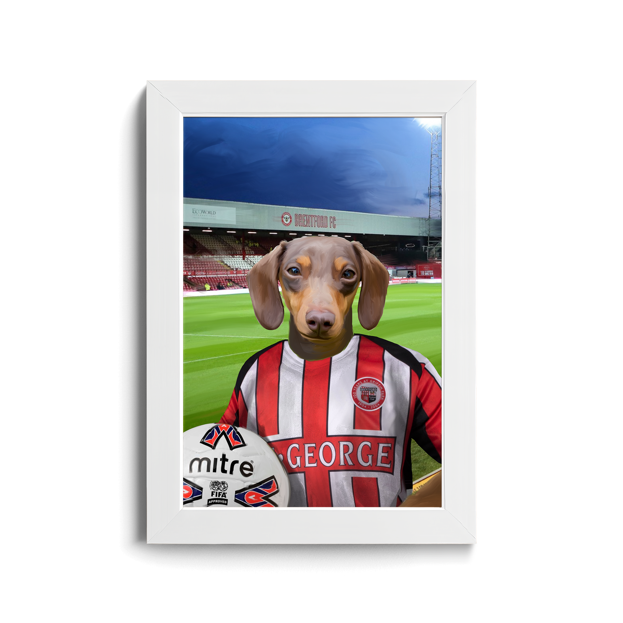 Your Pet in a Brentford Retro Shirt