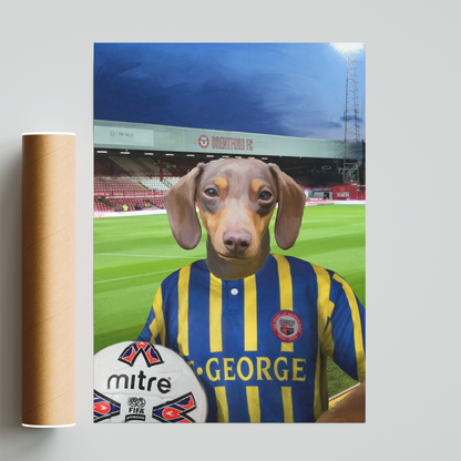 Your Pet in a Brentford Retro Shirt