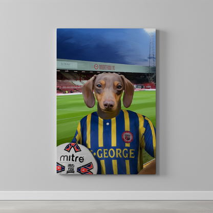 Your Pet in a Brentford Retro Shirt