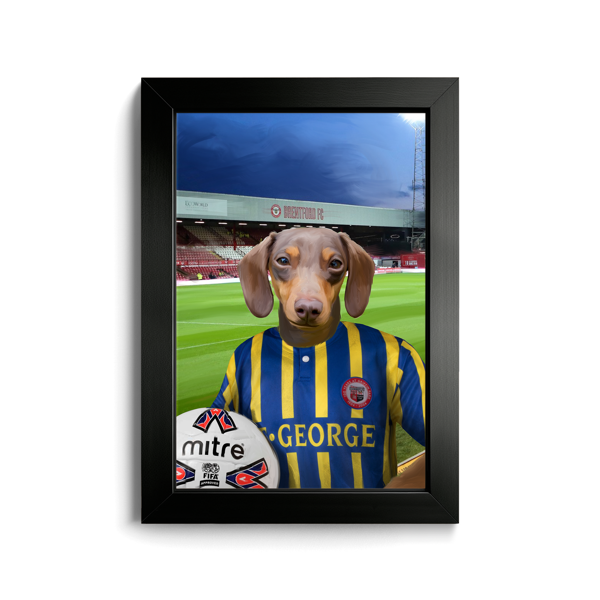 Your Pet in a Brentford Retro Shirt