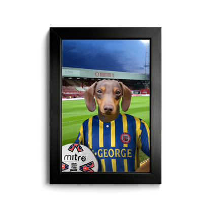 Your Pet in a Brentford Retro Shirt