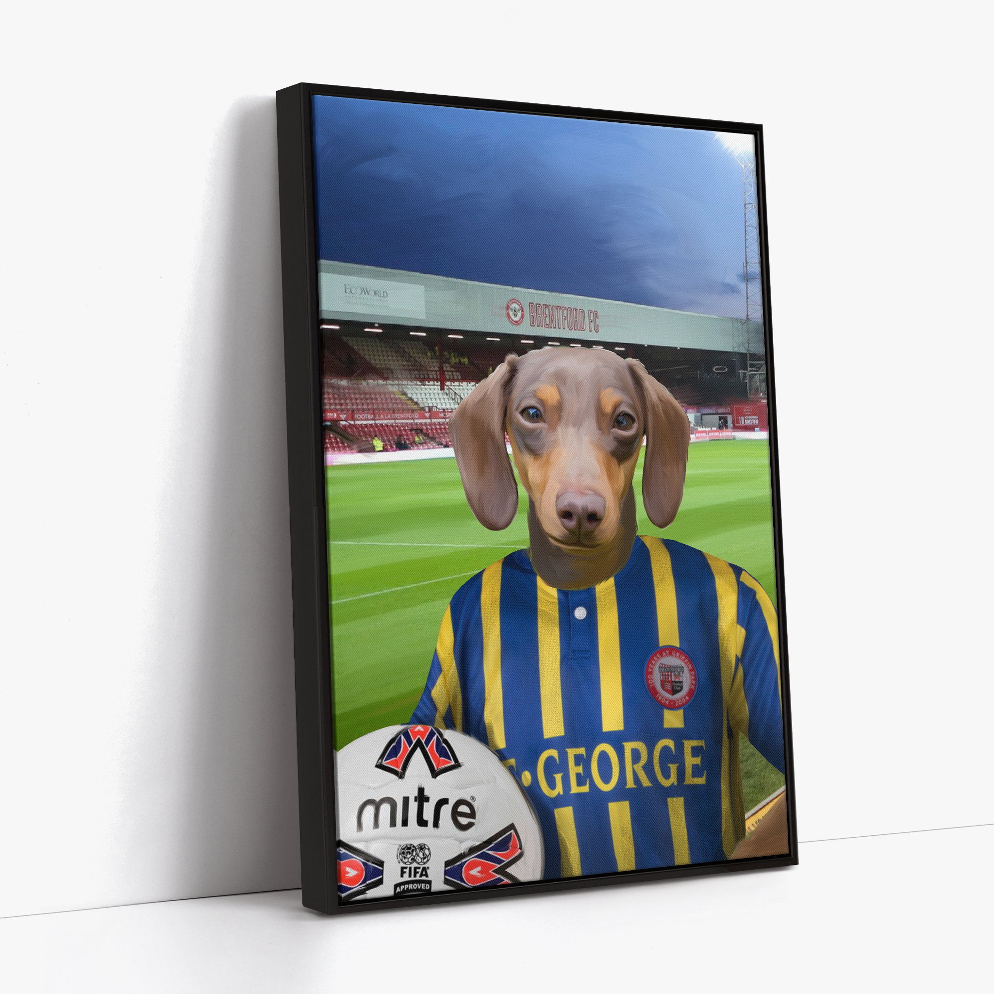 Your Pet in a Brentford Retro Shirt