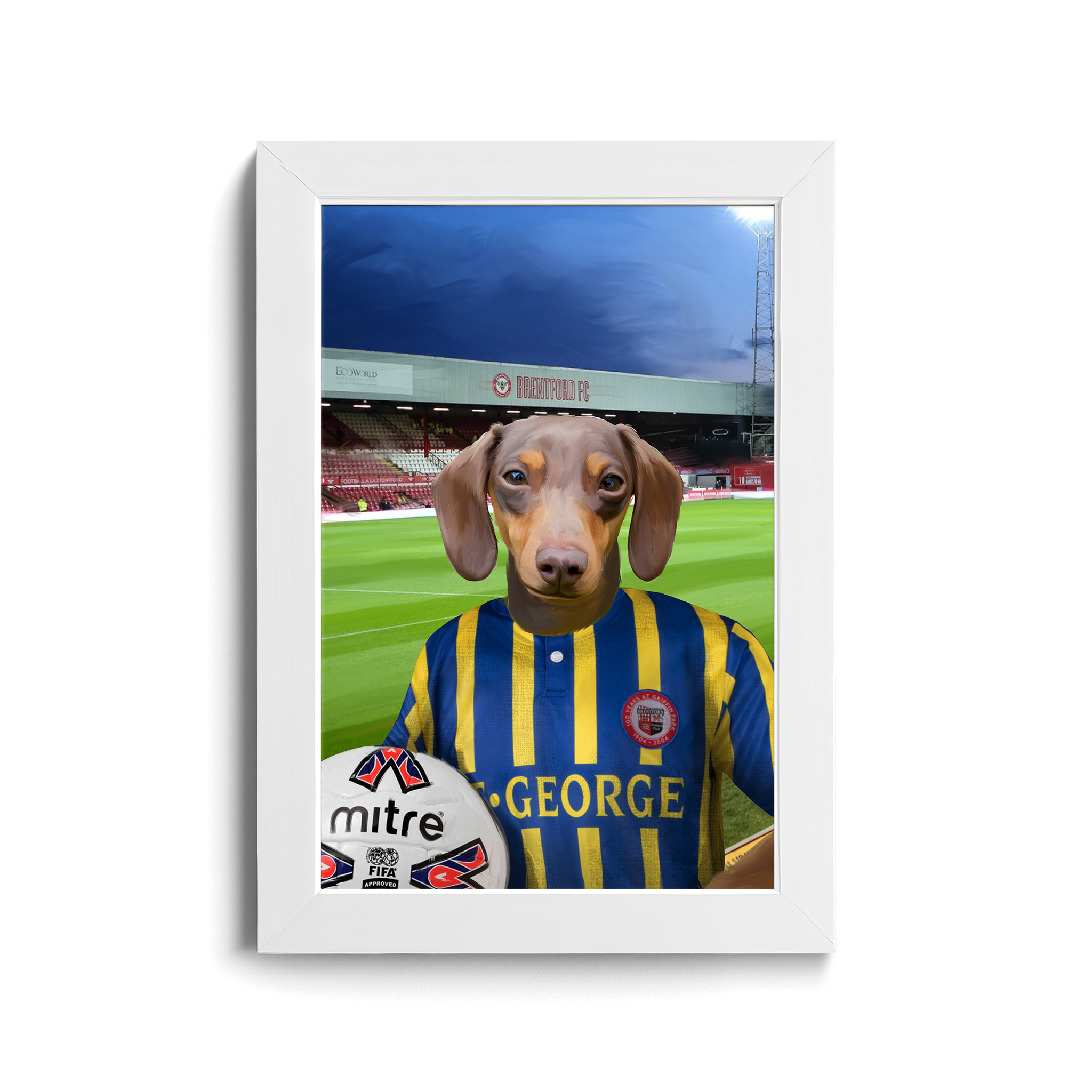 Your Pet in a Brentford Retro Shirt