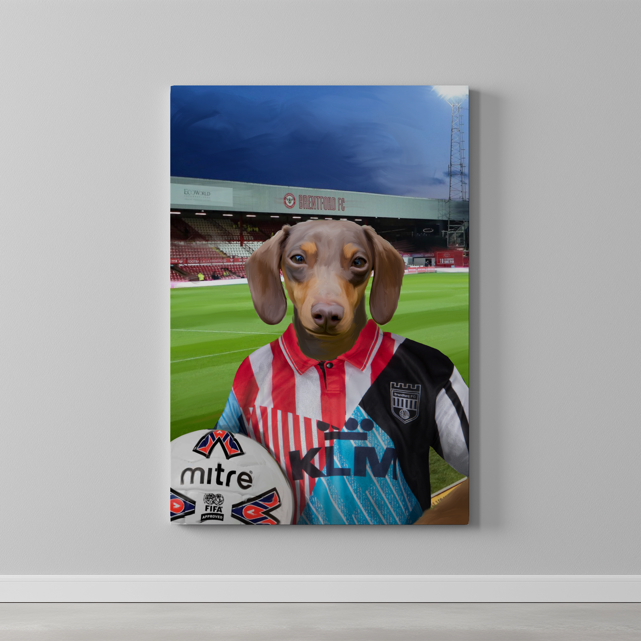 Your Pet in a Brentford Retro Shirt