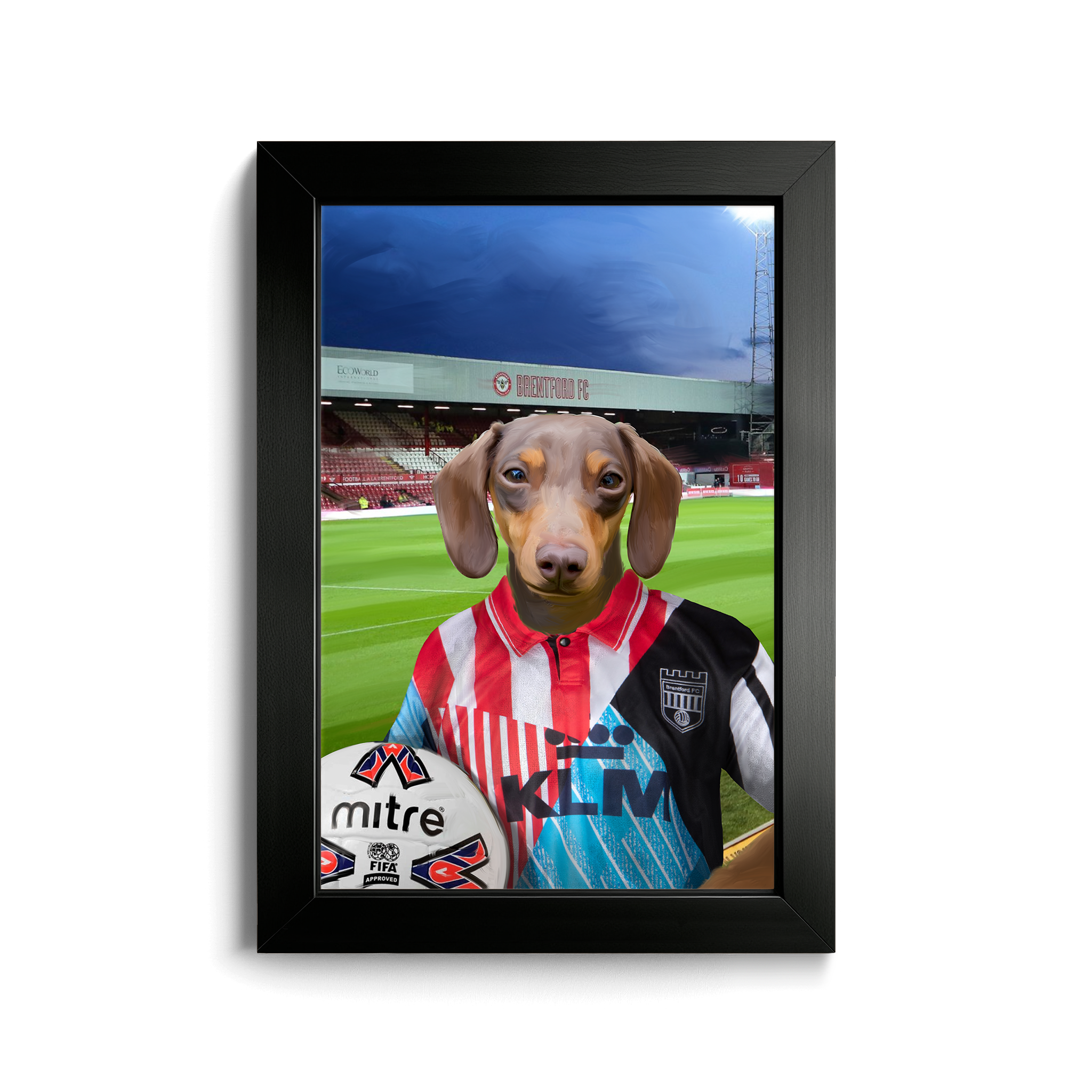 Your Pet in a Brentford Retro Shirt