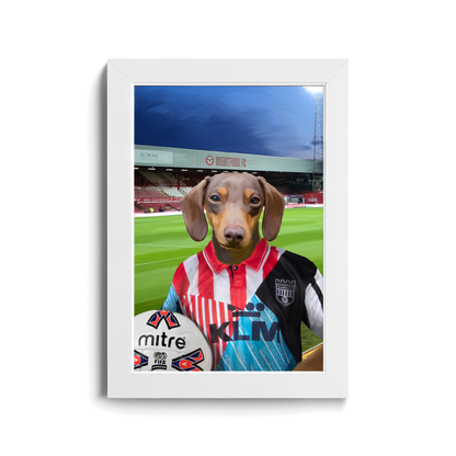 Your Pet in a Brentford Retro Shirt