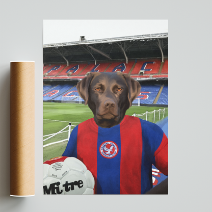Your Pet in a Crystal Palace Retro Shirt