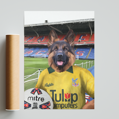 Your Pet in a Crystal Palace Retro Shirt