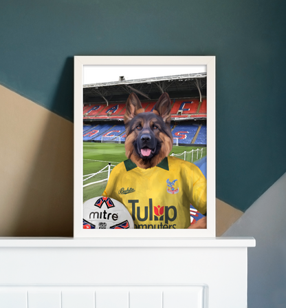 Your Pet in a Crystal Palace Retro Shirt