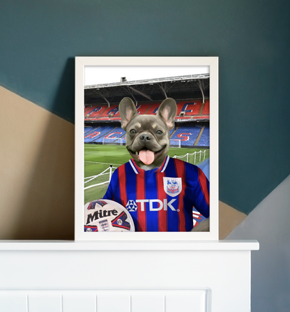 Your Pet in a Crystal Palace Retro Shirt