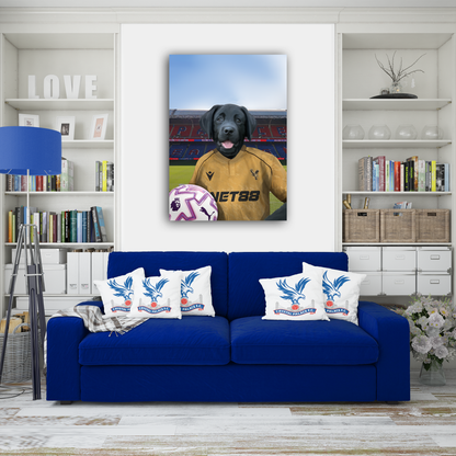 Your Pet in a Crystal Palace 25/26 Away Shirt